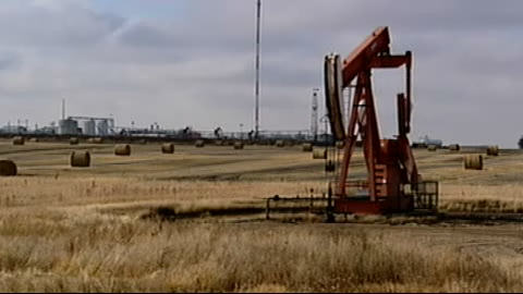 The curse of oil بترول (نفط) النعلة Mimouni_petrole-22b468f